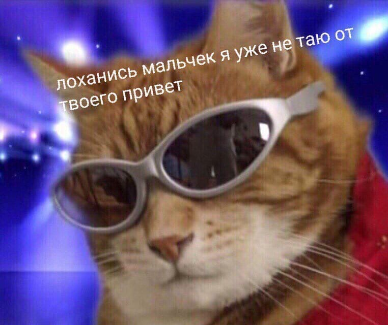 Ответы Mail.ru: Хозяин, а пиво то ты купил?