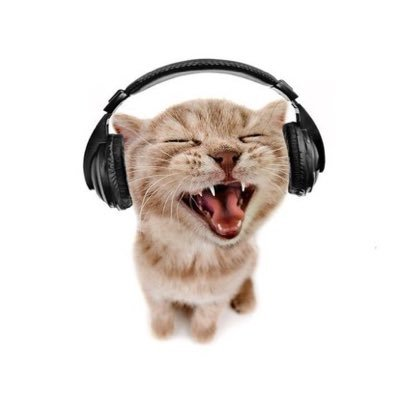 Фото кота в наушниках мем Музыкальный профиль frhotelenjoyer Last.fm