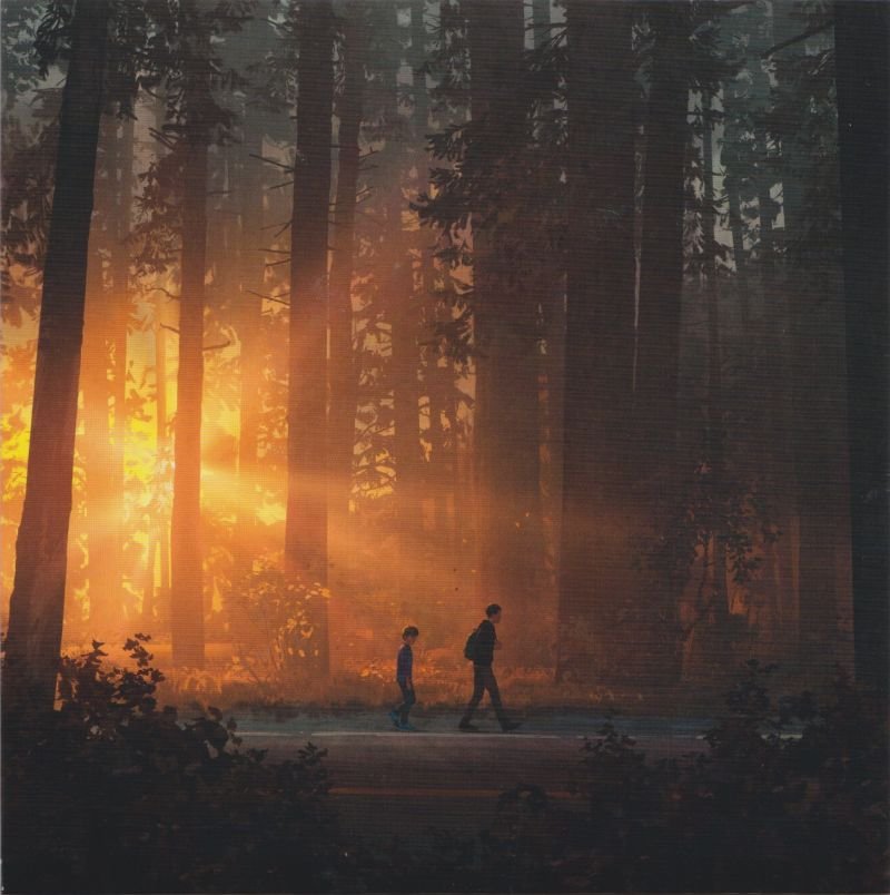 Life is Strange 2 — Dolkins Life is Strange 2 — Dolkins
