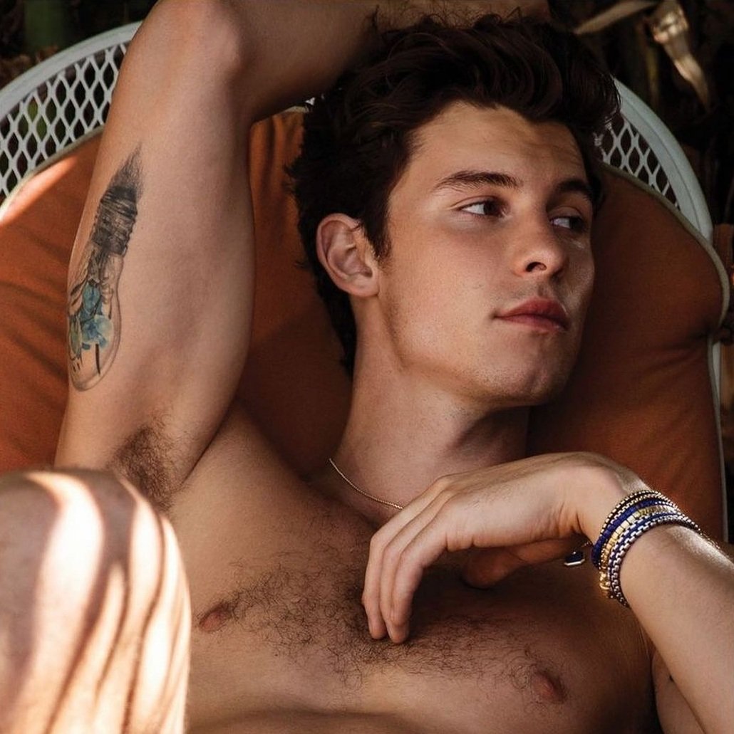 Cover Shawn Mendes - There s Nothing Holdin  Me Back