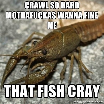 Shits Cray