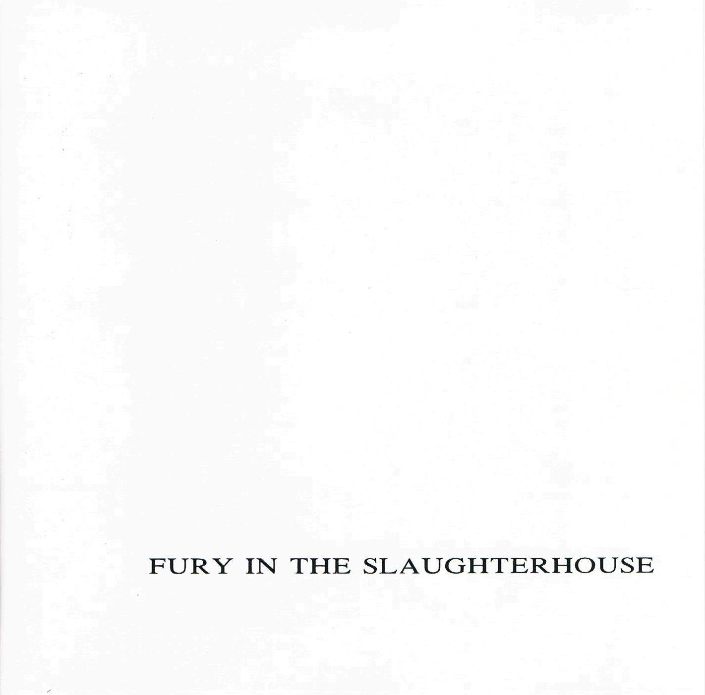 Time to Wonder — Fury In The Slaughterhouse | Last.fm