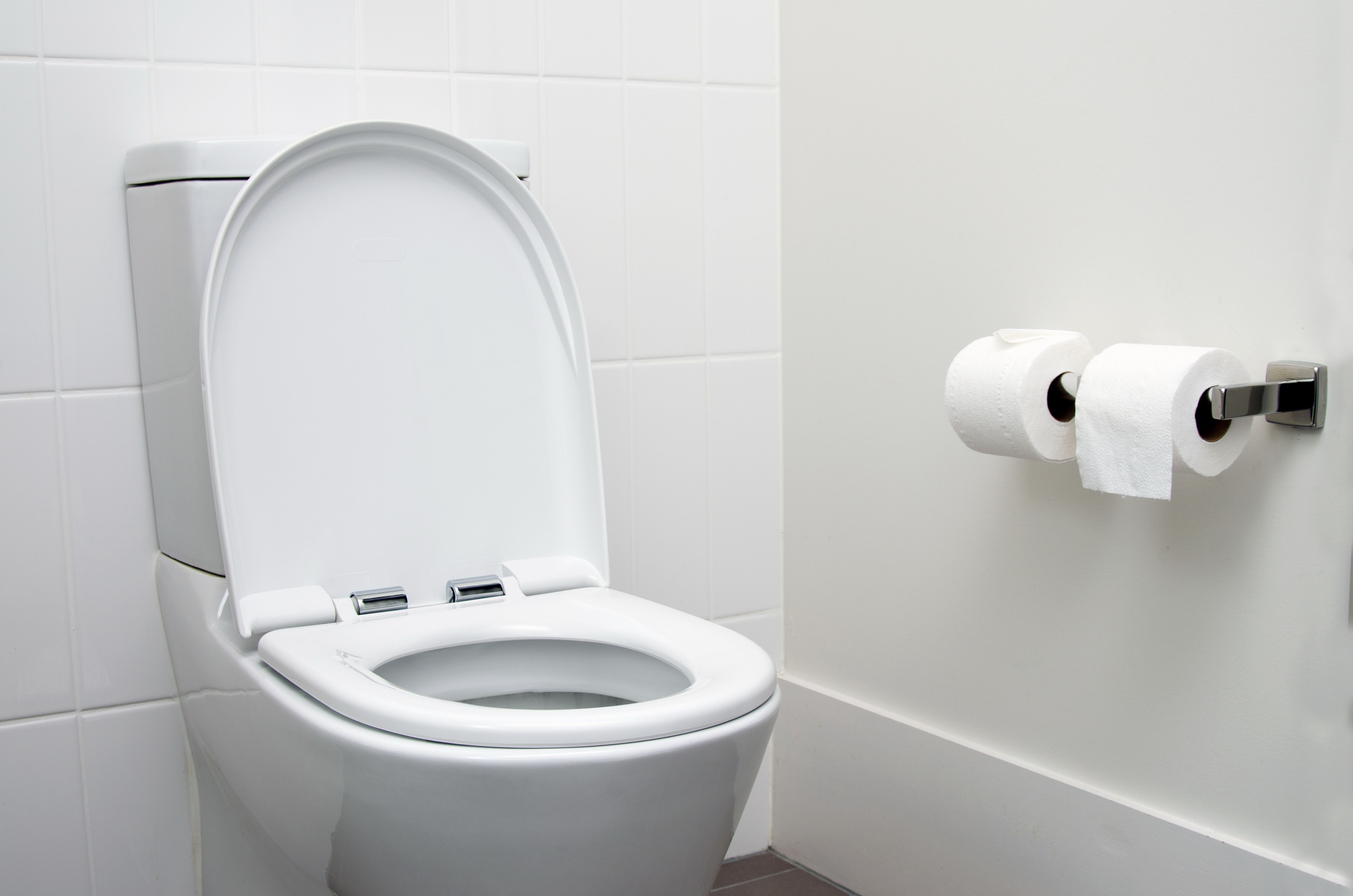 Toilet Komoru