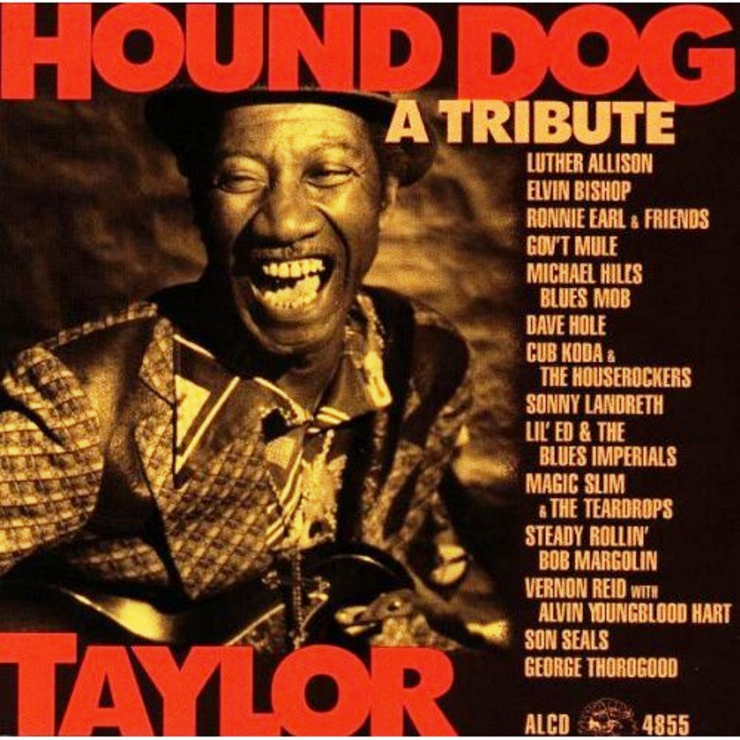 Hound Dog Taylor a Tribute — Various Artists Last.fm