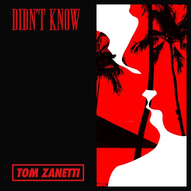 Didn't Know — Tom Zanetti | Last.fm