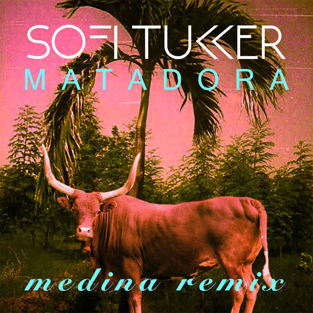 Matadora (Medina Remix) — Sofi Tukker | Last.fm