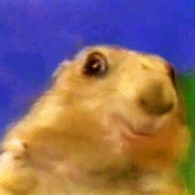 Capybara Parody Wiki