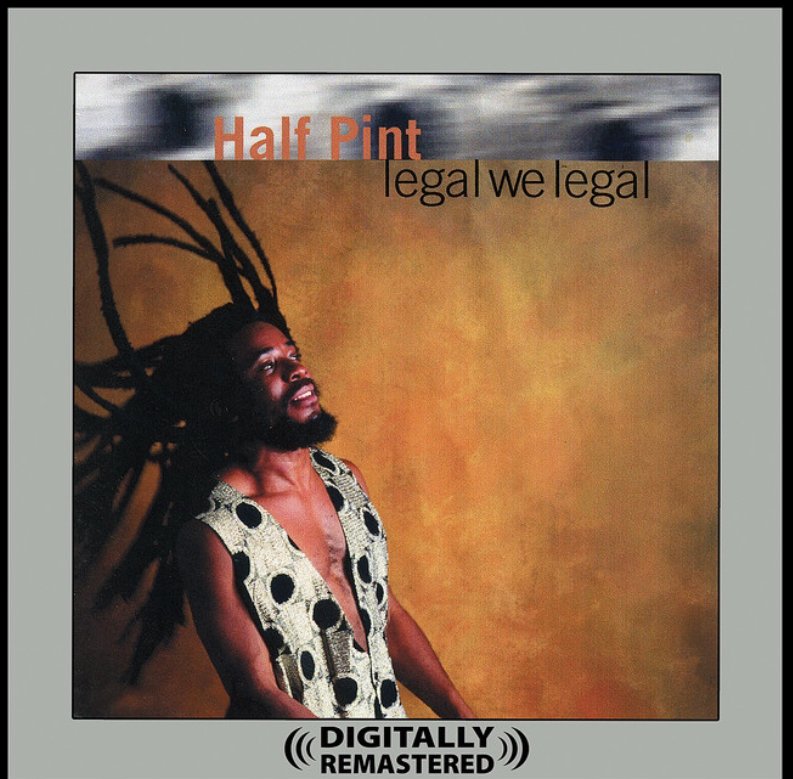 half pint filmz net worth - Ilustrasi 2