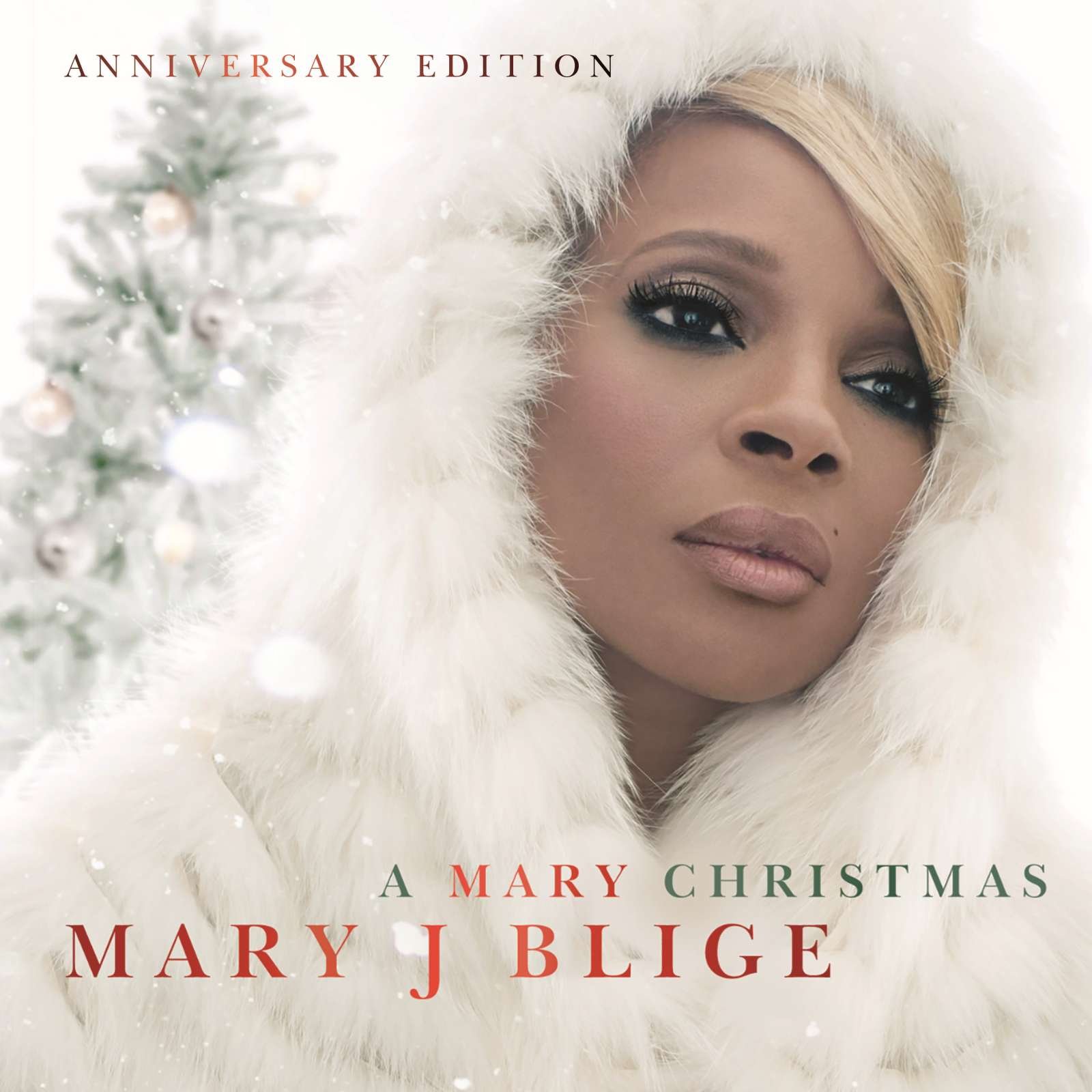 Mary J Leeee