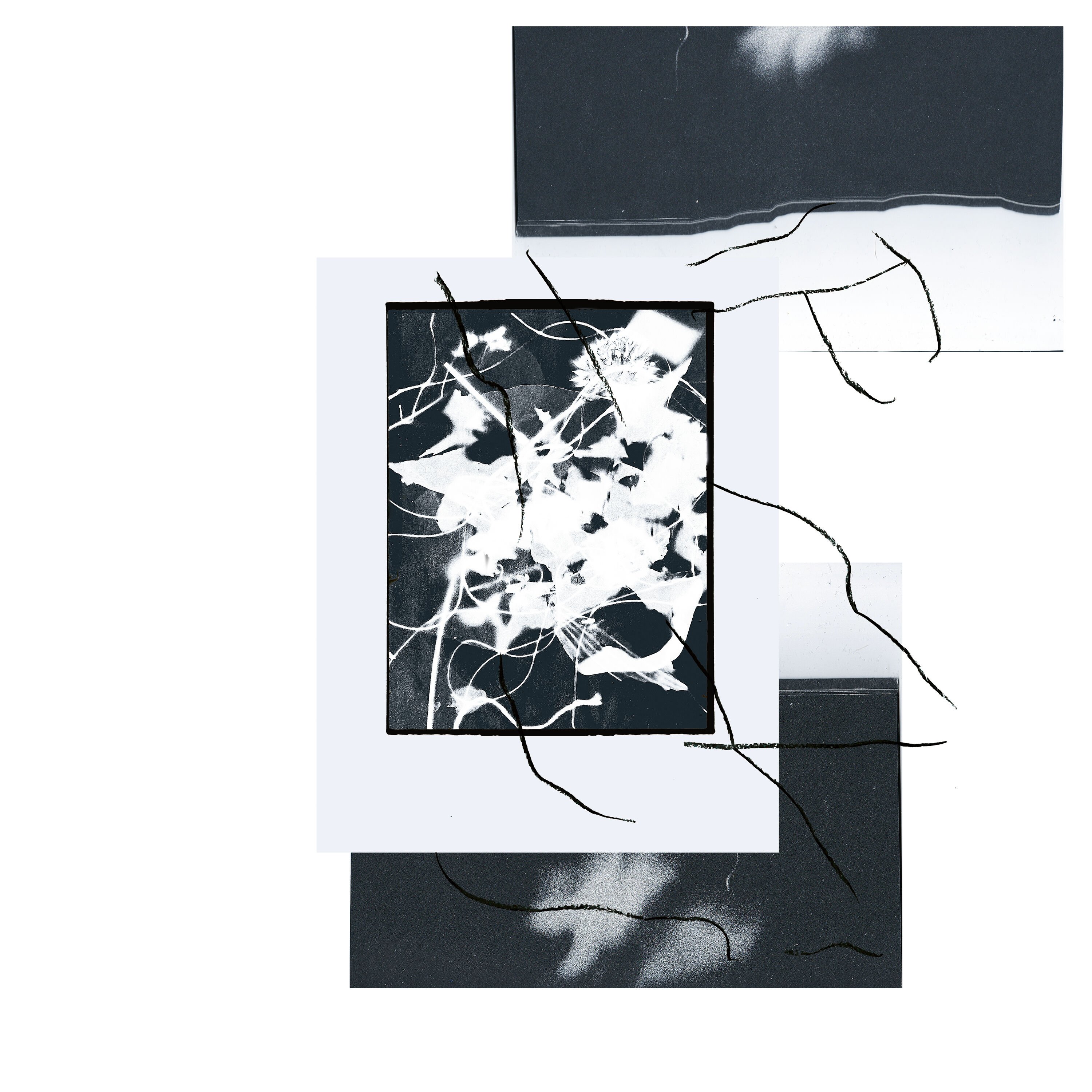 Открывай для себя новую музыку, видео и фотографии на Last.fm, крупнейшем м...