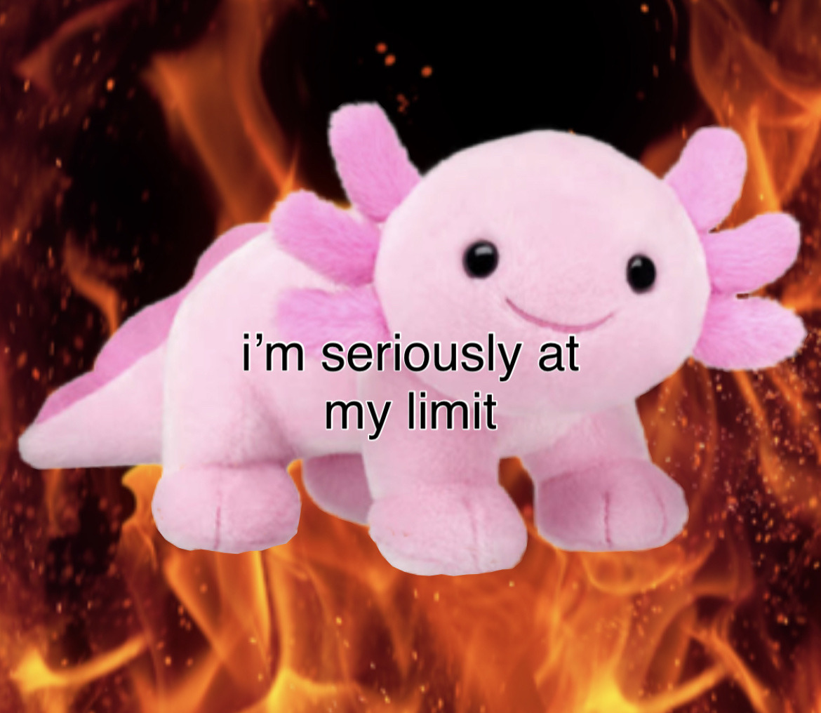 At my limit. Im seriously at my limit. im at my limit. i am at my limit meme. mememaster.