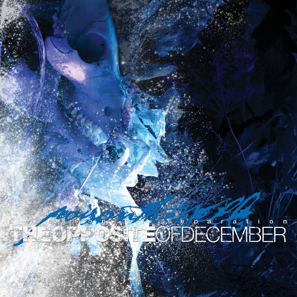 My Mirror No Longer Reflects Poison The Well Last Fm