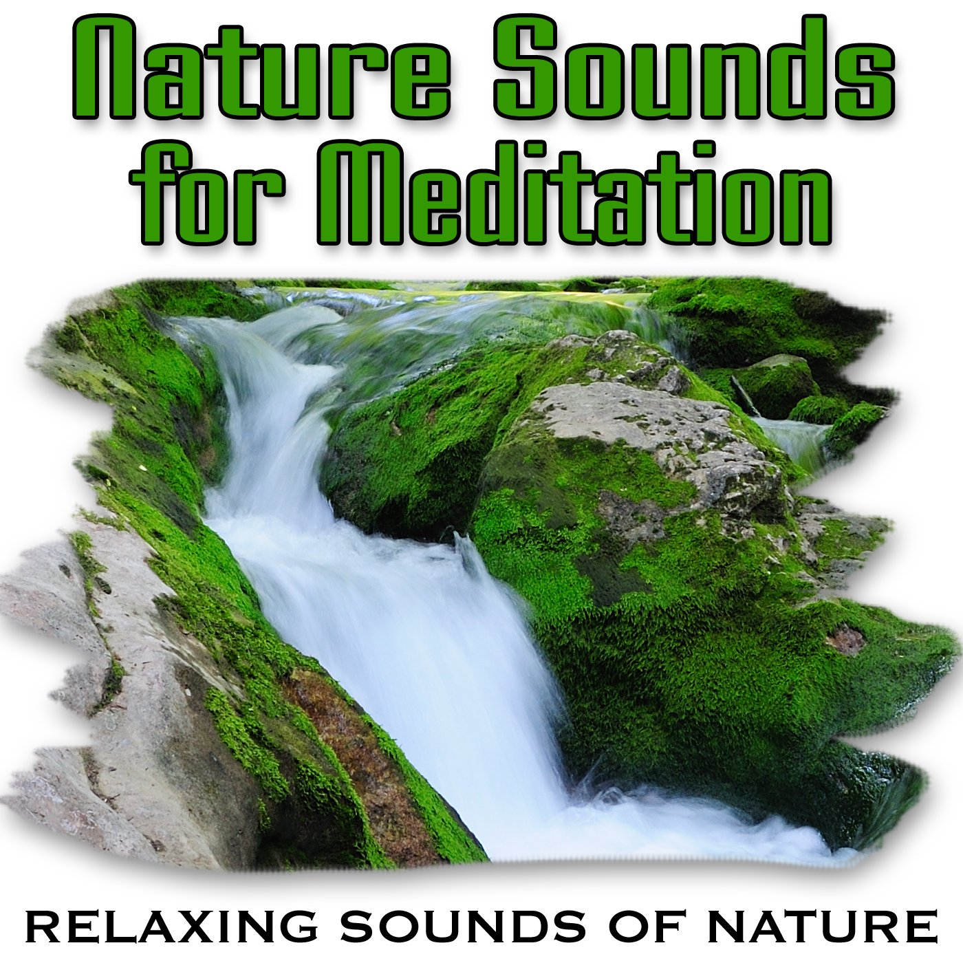 Natural last. Sounds of nature.