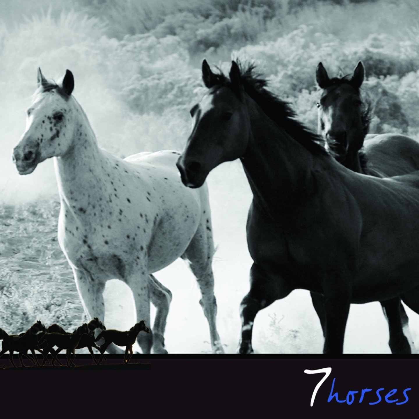Музыка horses