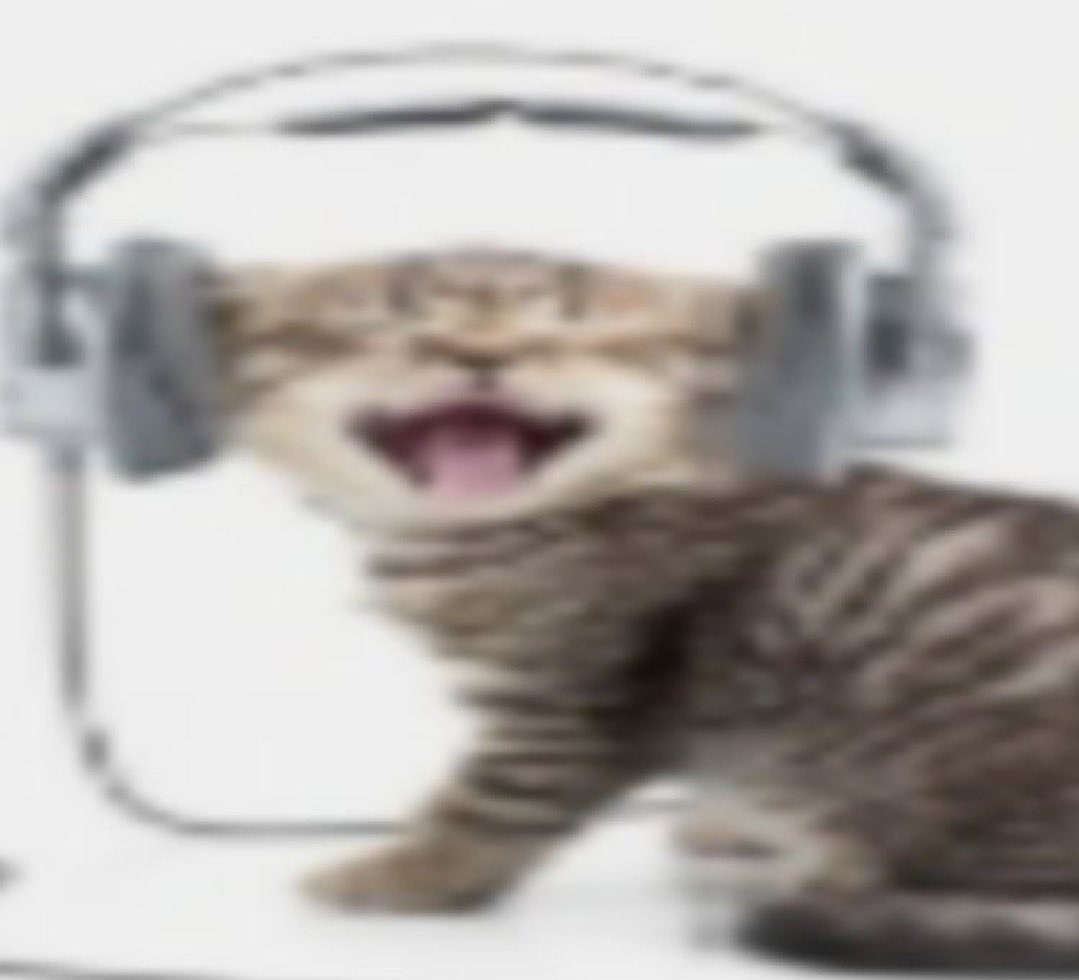 Кот в наушниках мем