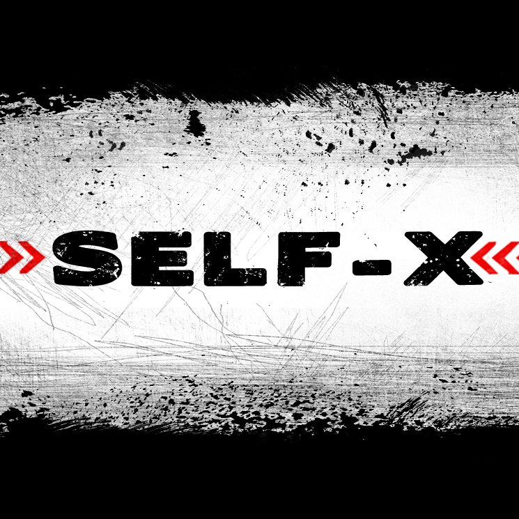 Х self. Х self