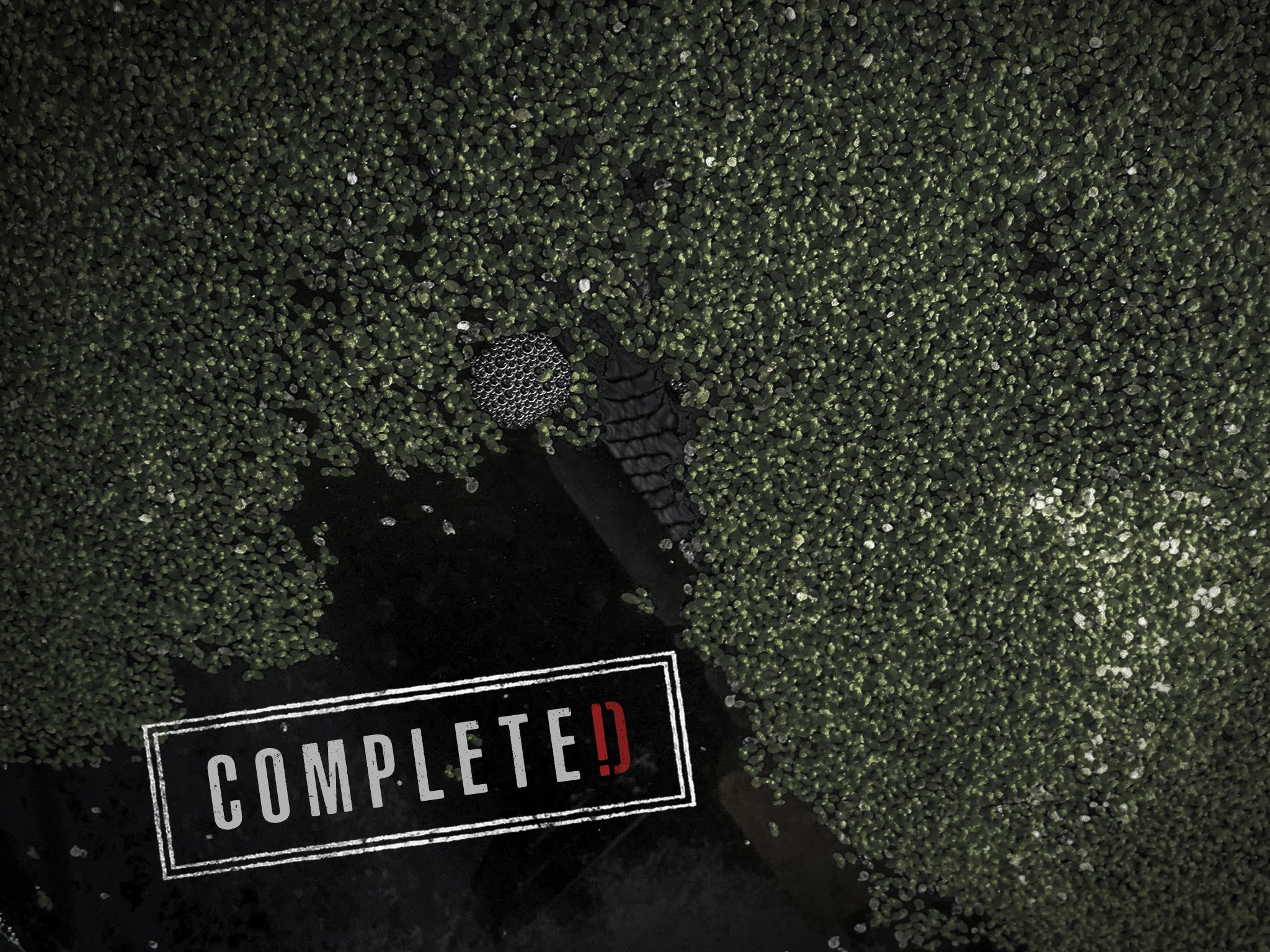 Run the complete. Run the complete