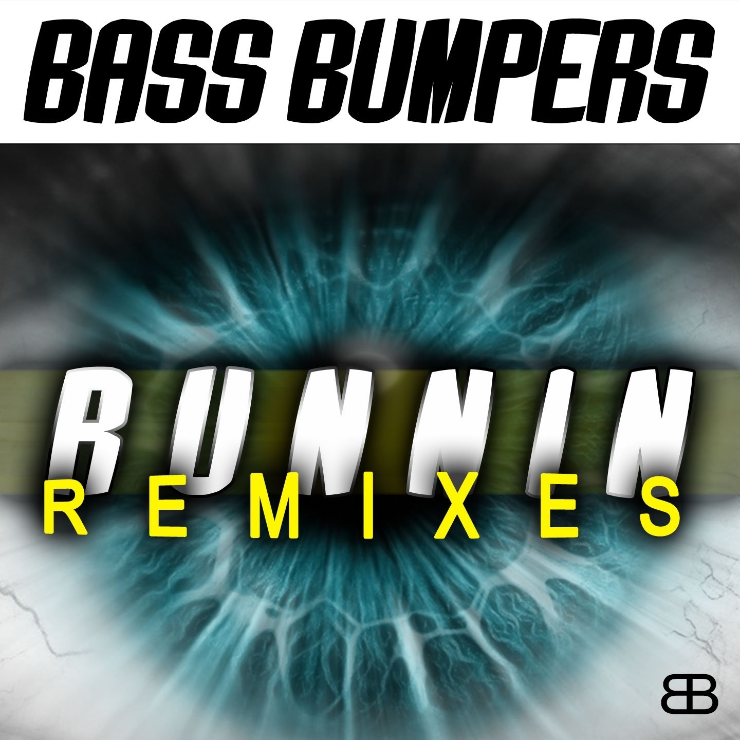 Bass bumpers. Bass Bumpers Remix.