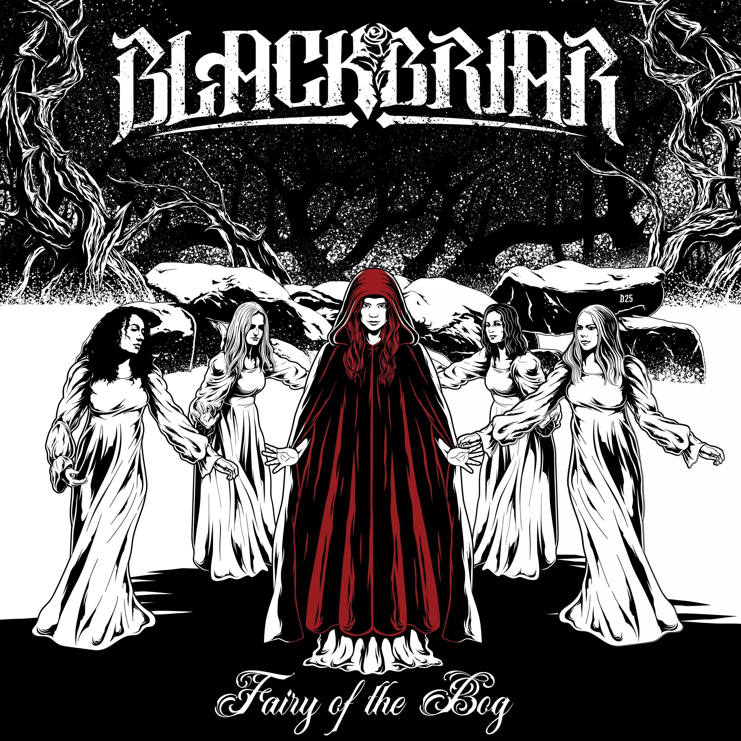 Blackbriar. Blackbriar группа. Blackbriar 2021. Blackbriar логотип. Blackbriar - the cause of Shipwreck.