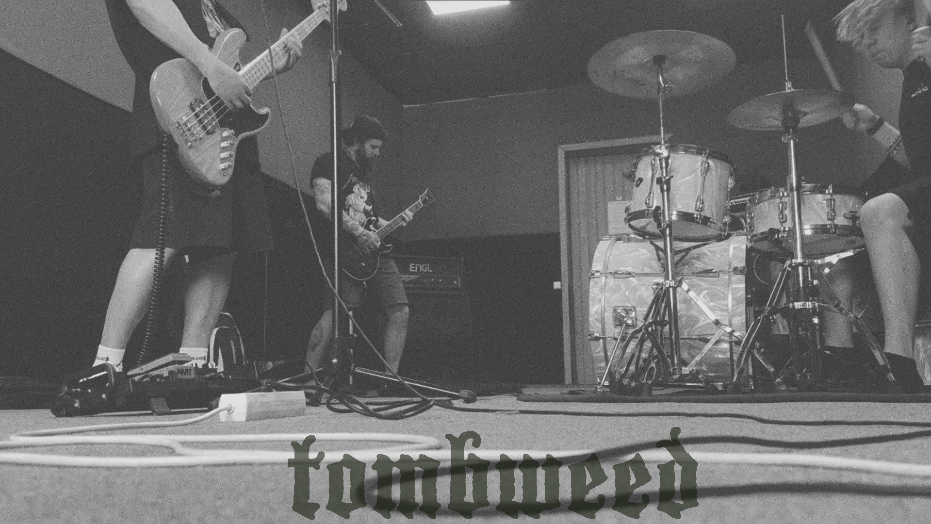 Tombweed