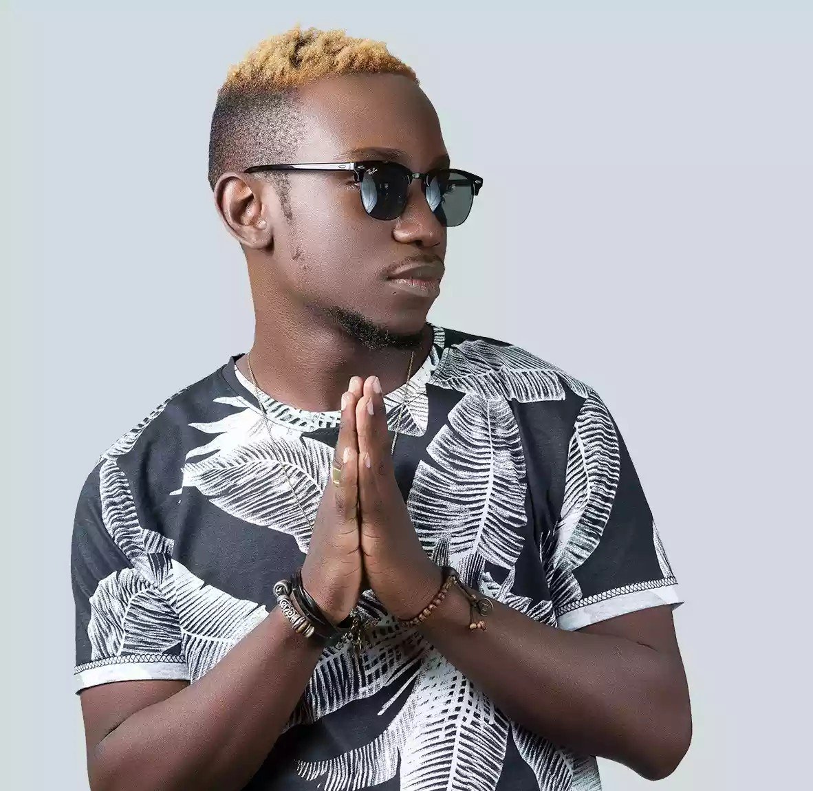 Fanicko biography Last.fm