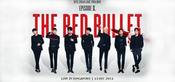 BTS 2014 LIVE TRILOGY THE RED BULLET ジン 2014 BTS LIVE TRILOGY IN SINGAPORE EPISODE II. THE RED BULLET at