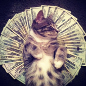 LastFM profile picture for @gangster