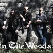 In The Woods band.jpg