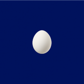 eggy_h 的头像