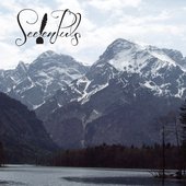 Official SeelenPuls website design