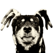 Avatar for Akrodiff