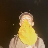 artist pfp on bandcamp