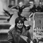 Davy+Pigeons