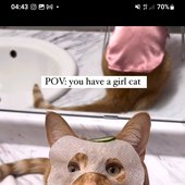 pablita