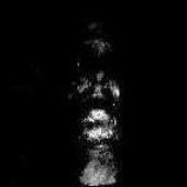 Avatar di solli_