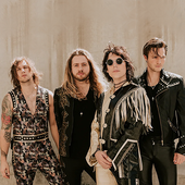 The Struts