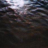 Pure Shores
