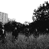 Rumours_Photo.png