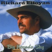 Big Nevada Sky