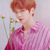 kang daniel photoshoot