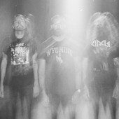 Sumac
