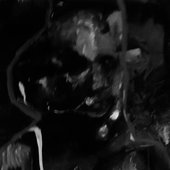 IMG_5640.jpeg