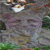 smiling tree :)