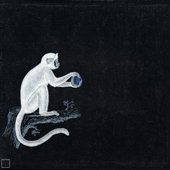 Curse Monkey