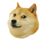 battlehoog 的头像