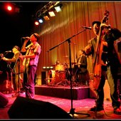 Live @ The Electric Palace, Bridport