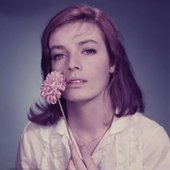 marie-laforet-4.jpg