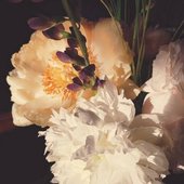 The Botanist EP
