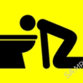 Avatar for Vomitada