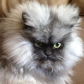 Avatar for Muinaiset